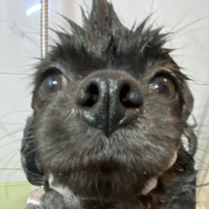 Meet your Posher, Jaqueline